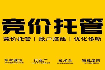 竞价推广案例：揭秘行业龙头企业的营销策略